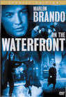 Cover: On the Waterfront